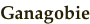 shapeimage_3_link_1