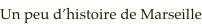 shapeimage_9_link_0