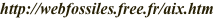 shapeimage_5_link_3